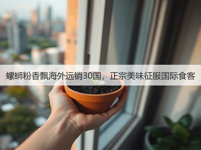 螺蛳粉香飘海外远销30国，正宗美味征服国际食客