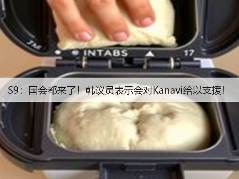 S9：国会都来了！韩议员表示会对Kanavi给以支援！