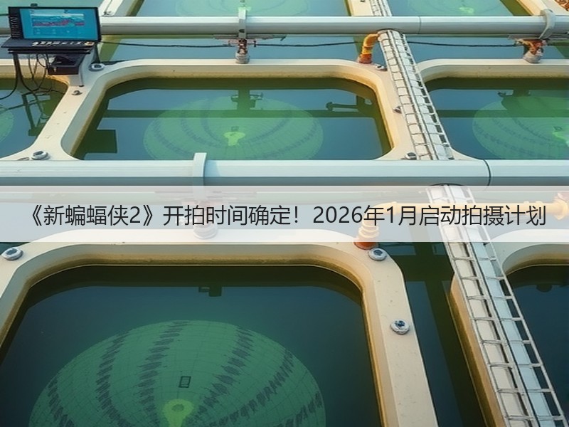 《新蝙蝠侠2》开拍时间确定！2026年1月启动拍摄计划