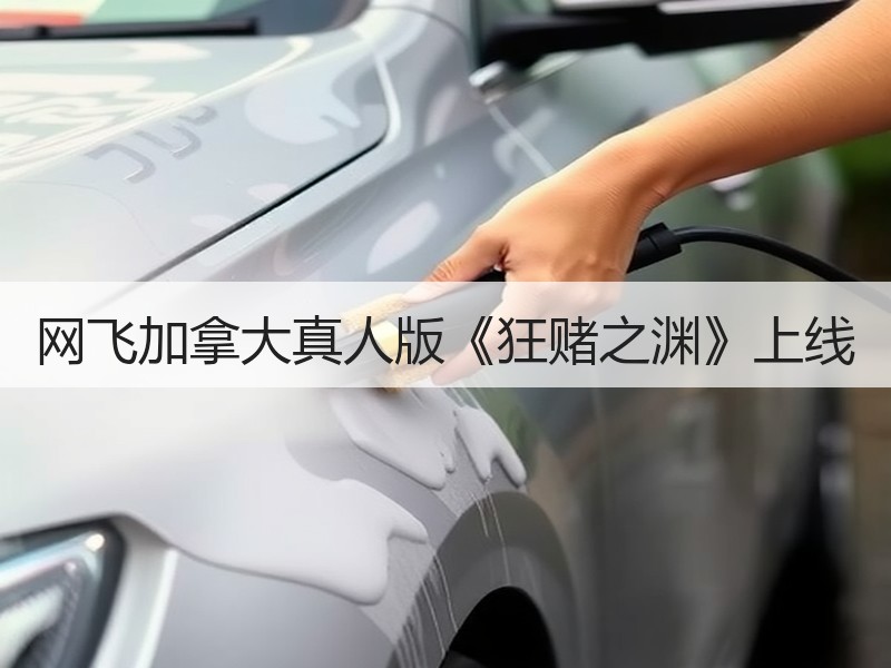 网飞加拿大真人版《狂赌之渊》上线