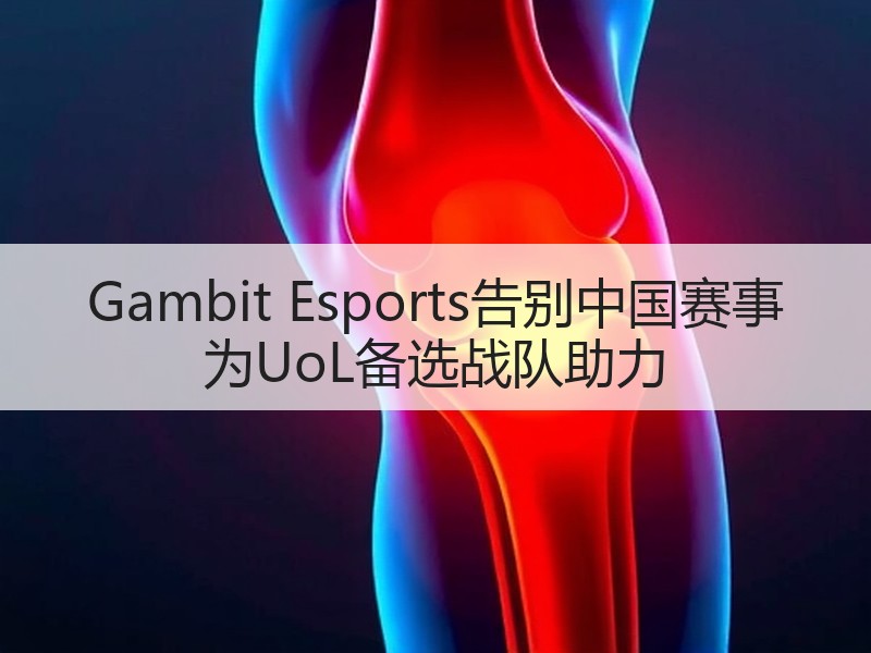 Gambit Esports告别中国赛事 为UoL备选战队助力