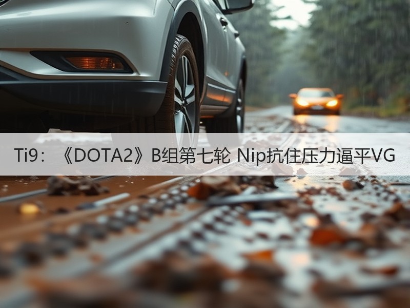 Ti9：《DOTA2》B组第七轮 Nip抗住压力逼平VG