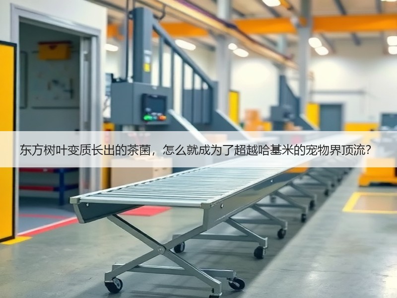 东方树叶变质长出的茶菌，怎么就成为了超越哈基米的宠物界顶流？