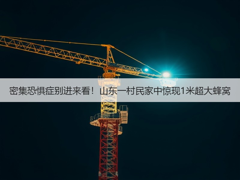 密集恐惧症别进来看！山东一村民家中惊现1米超大蜂窝