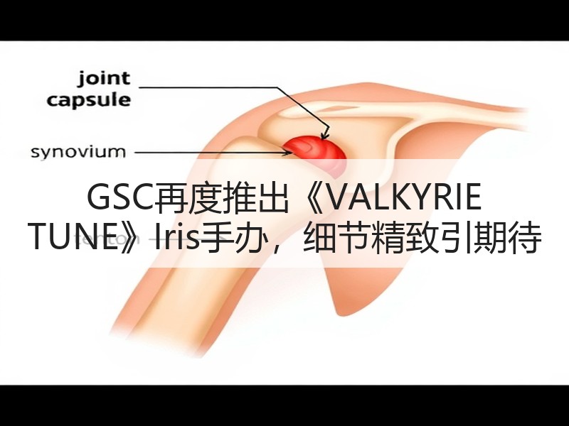 GSC再度推出《VALKYRIE TUNE》Iris手办，细节精致引期待