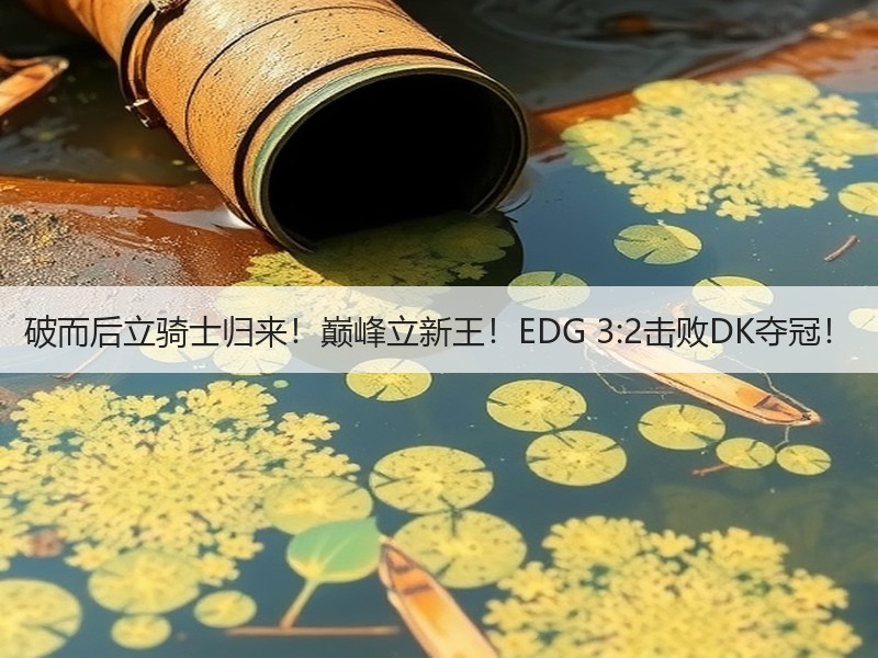 破而后立骑士归来！巅峰立新王！EDG 3:2击败DK夺冠！