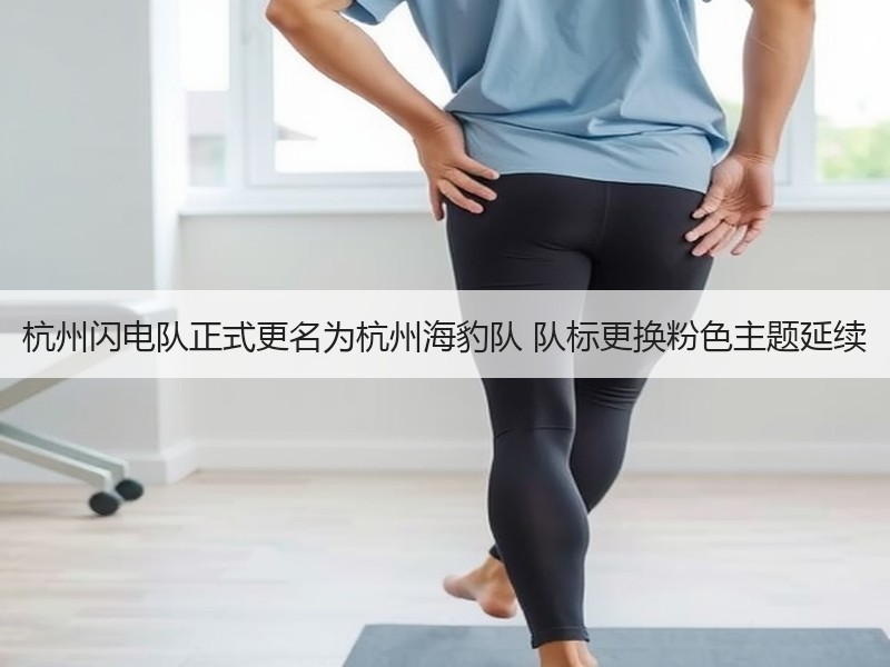杭州闪电队正式更名为杭州海豹队 队标更换粉色主题延续