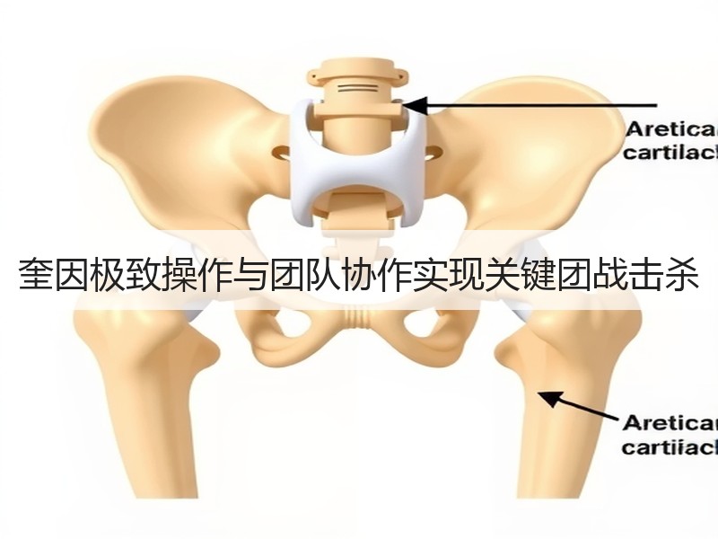 奎因极致操作与团队协作实现关键团战击杀
